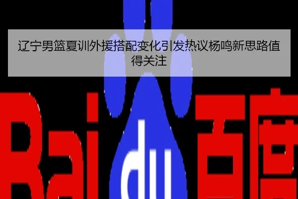 辽宁男篮夏训外援搭配变化引发热议杨鸣新思路值得关注