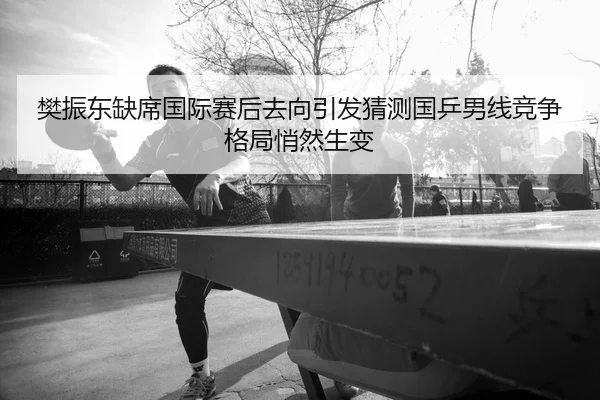 樊振东缺席国际赛后去向引发猜测国乒男线竞争格局悄然生变