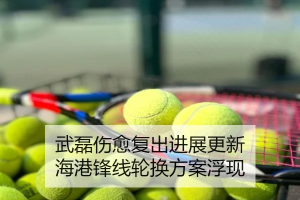 武磊伤愈复出进展更新 海港锋线轮换方案浮现