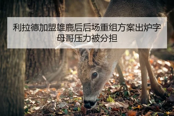利拉德加盟雄鹿后后场重组方案出炉字母哥压力被分担